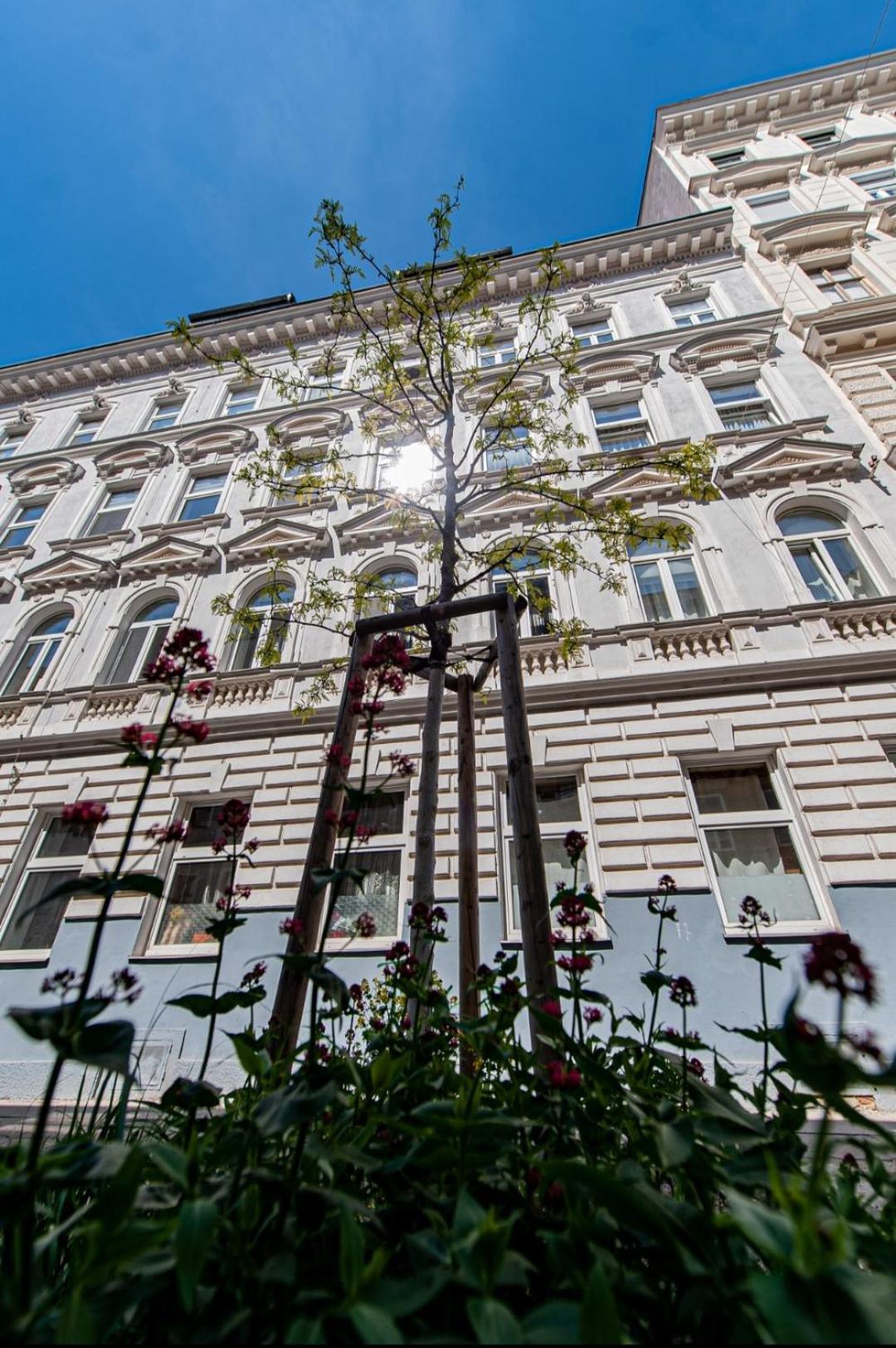 Vienna My City Apartment 1 Bedroom Dış mekan fotoğraf