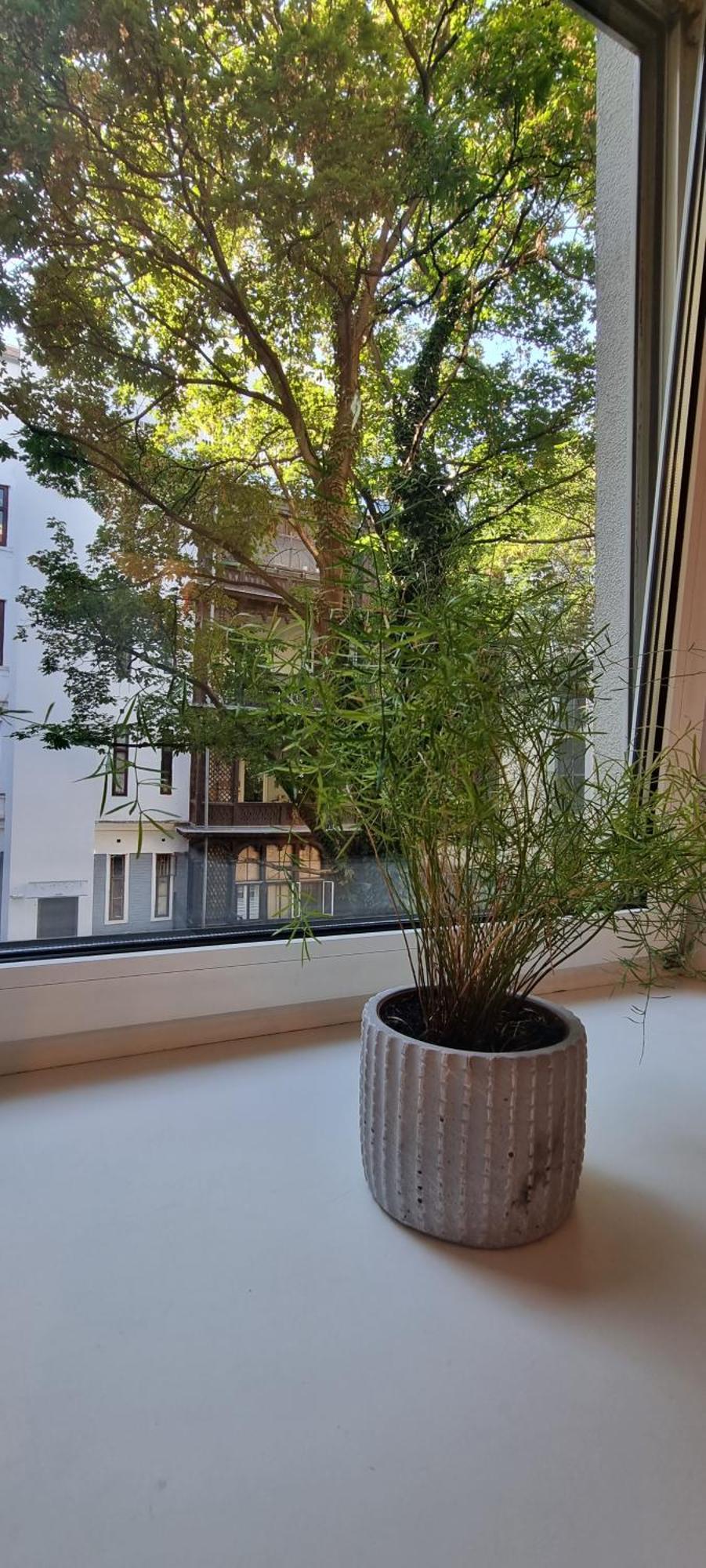 Vienna My City Apartment 1 Bedroom Dış mekan fotoğraf